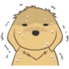Golden Retriever Puppy 15