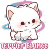Eli&Javi(JD
Terrier Blanco