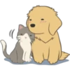Golden Retriever Puppy 17