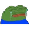 Rana Pepe 11