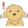 Golden Retriever Puppy 18
