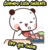 Gato melocotón 17