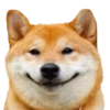 Memes 12