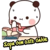 Gato melocotón 18