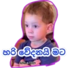 හරිවේදනයිමට KING&QUEEN