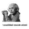 බට් අයින්ස්ටයින්- සාපේක්ෂව අසරණ වෙනව
