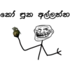 cc@ck czã çœo