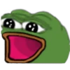 Rana Pepe 12