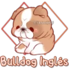 Eli&Javi(JD)
Bulldog Inglés