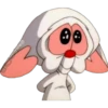 PINKY & CEREBRO 13