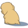 Golden Retriever Puppy 20