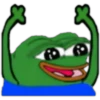 Rana Pepe 16
