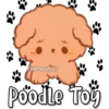 Eli&Javi(JD)
Poodle Toy