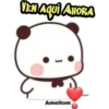 Gato melocotón 21