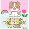 Lindo Cachorro 19