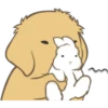 Golden Retriever Puppy 22