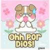 Lindo Cachorro 21