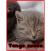 Tengo sueño