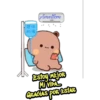 Gato melocotón 22