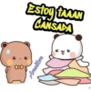 Gato melocotón 23