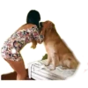 Stickers For Dog Lovers 2 22