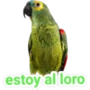Memitos 35 clasicos 23