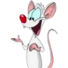 PINKY & CEREBRO 15
