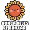 NUNCA DEJES
DE BRILLAR