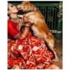 Stickers For Dog Lovers 2 24