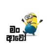 包