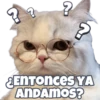 EENTonces YA
ANDAMOS?