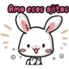 bear and rabbit in love 19