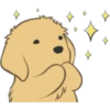 Golden Retriever Puppy 23