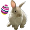 Happy Easter 19