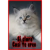Si claro
Casi te cree
>ΤΔΣΜ