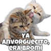 YA
ANVORGUECITO,
GRA BROMI
