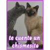 te cuento un
chismesito