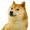 Memes 17