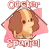 Cocker
Eli&Javi (JD)
Spaniel