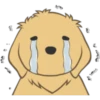 Golden Retriever Puppy 25