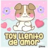 Lindo Cachorro 29