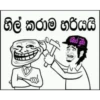 හිල් කරාම හරියයි