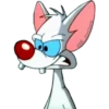 PINKY & CEREBRO 17