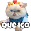 Que IcO