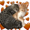 Amorcito de Anvorguesos 18
