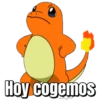 Hoy cogemos