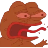 Rana Pepe 23