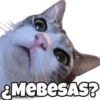 мевеSAS?