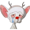 PINKY & CEREBRO 18