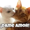 DAme AmOR!